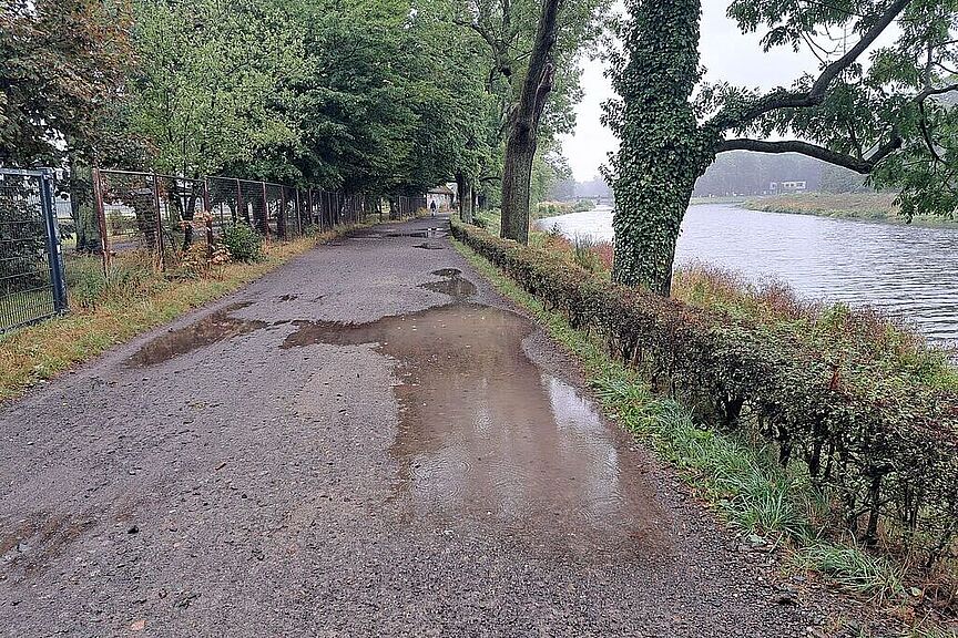 ADFC_Leipzig-Elsterradweg-Elsterflutbett-Asphaltierung ADFC_Leipzig-Elsterradweg-Elsterflutbett-Asphaltierung