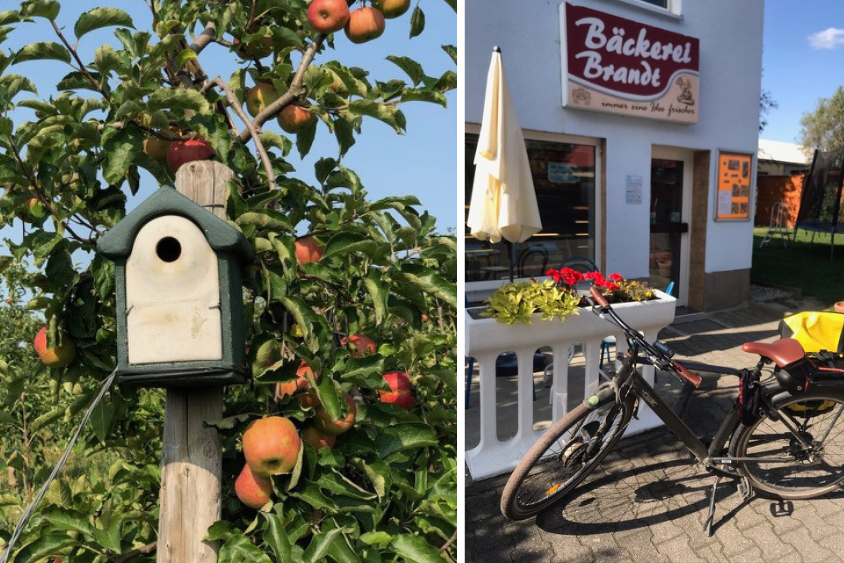 Impressionen von der Obstland-Route