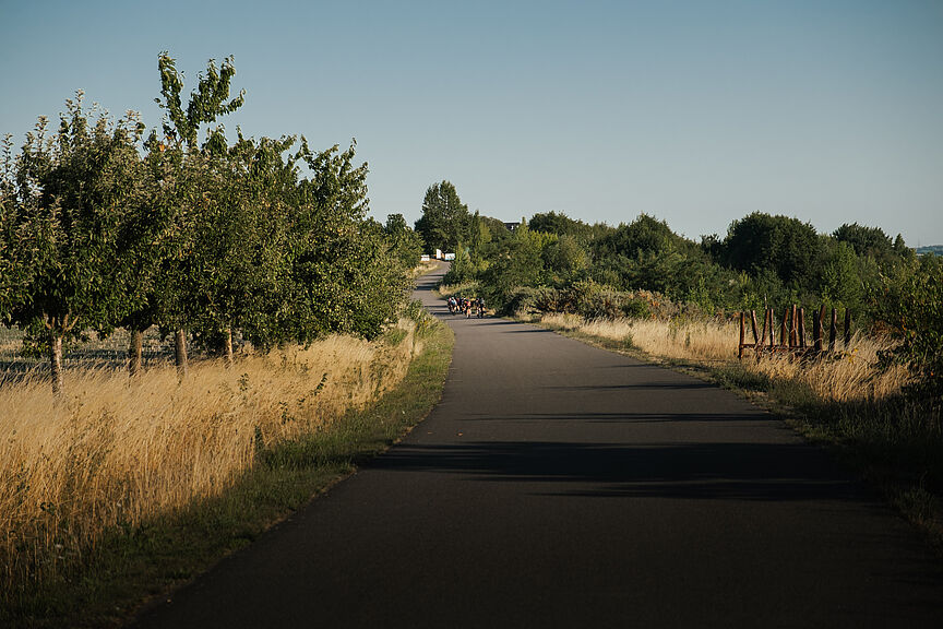 Wege_im_Gruenen-ADFC_Leipzig Wege_im_Gruenen-ADFC_Leipzig